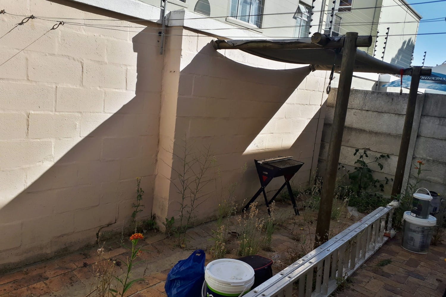 Blockwork boundary wall in a Strand yard with patchy old coats and weeds at the base